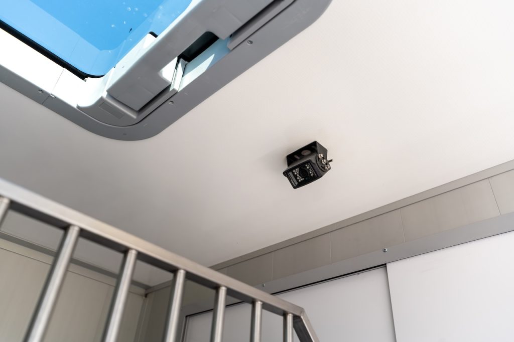 Ford Roelofsen Parados Sport 2-Pferdetransporter - Final Deluxe Edition - Automatik - Sofort verfügbar!