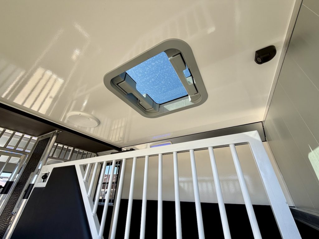 Renault 2-Pferdetransporter 5-Sitzer Hengstausstattung LKW Transporter neues Modell