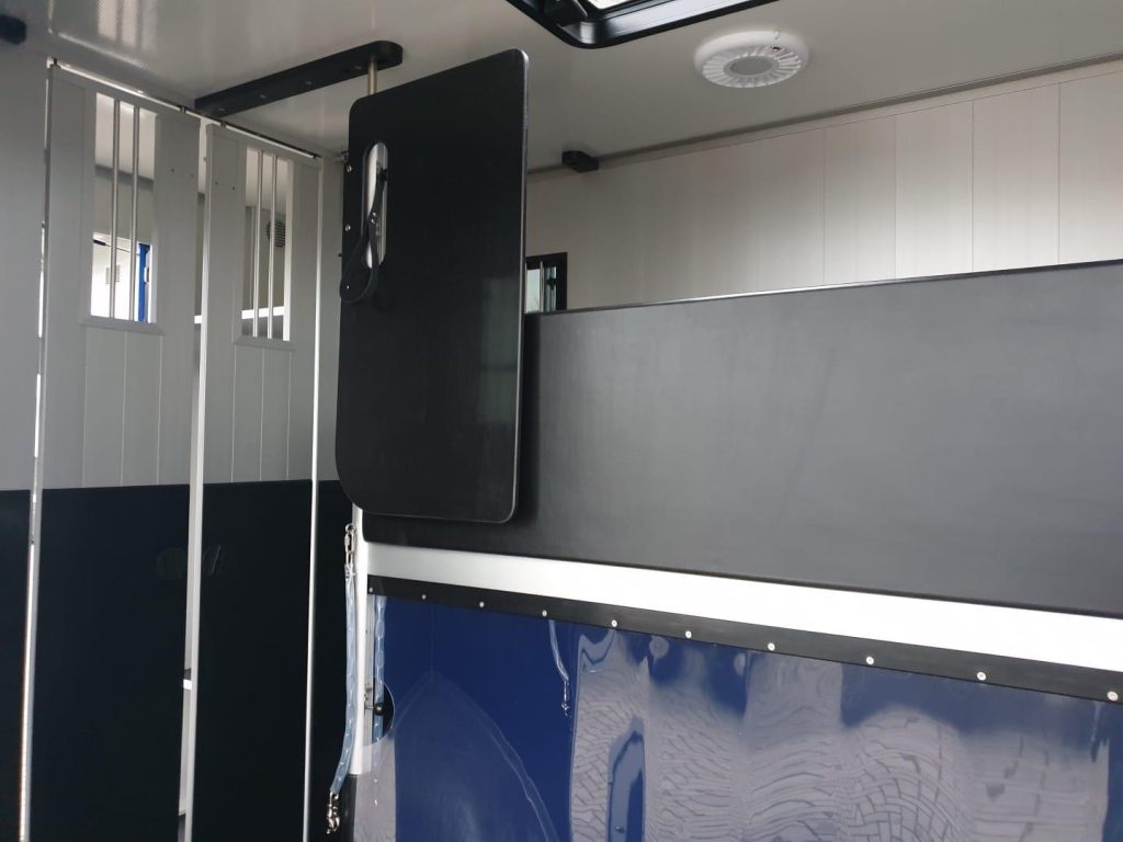 Renault Roelofsen Parados 2-Pferdetransporter Automatik LKW - Gebrauchtfahrzeug