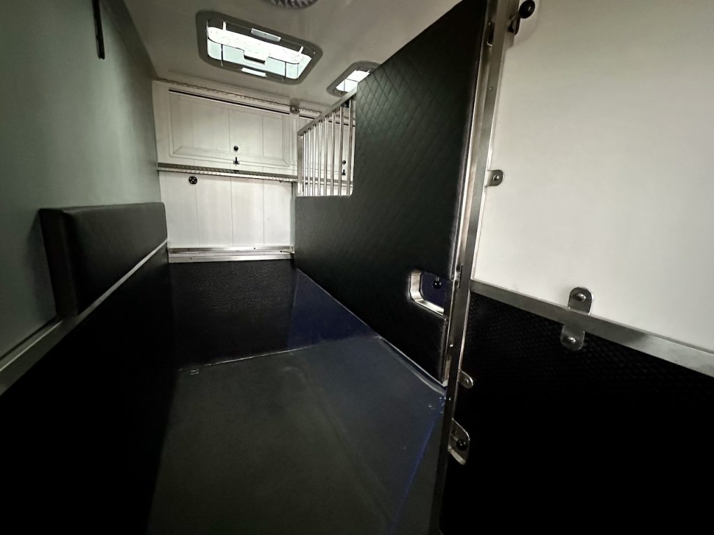 Mercedes-Benz Sprinter 419 2-Pferdetransporter Automatik Hengst 190 PS Heckantrieb