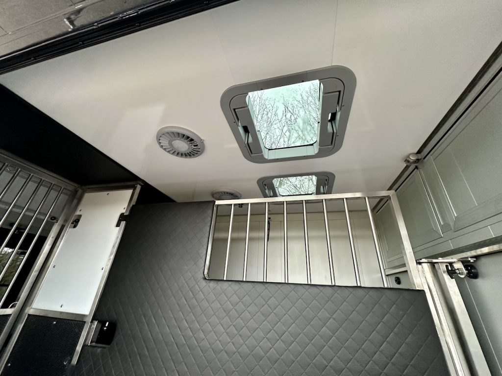 Mercedes-Benz Sprinter 419 2-Pferdetransporter Automatik Hengst 190 PS Heckantrieb
