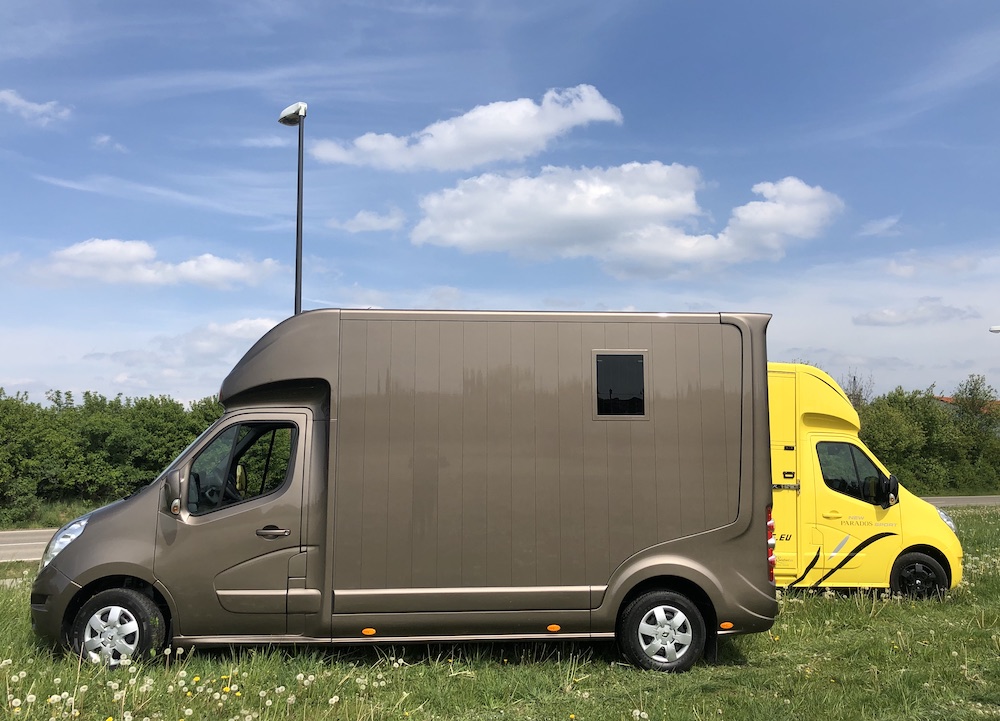 Renault Roelofsen Parados 2-Pferdetransporter Automatik LKW - Gebrauchtfahrzeug
