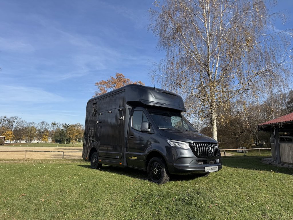 Mercedes-Benz Sprinter 419 2-Pferdetransporter Automatik Hengst 190 PS Heckantrieb