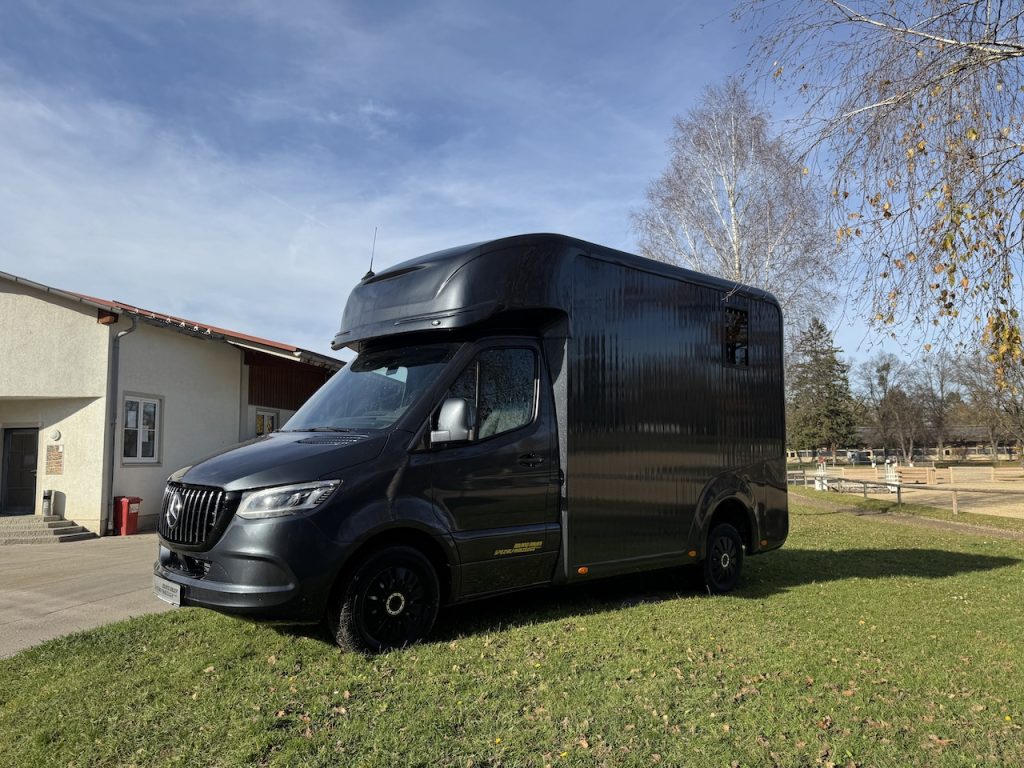 Mercedes-Benz Sprinter 419 2-Pferdetransporter Automatik Hengst 190 PS Heckantrieb