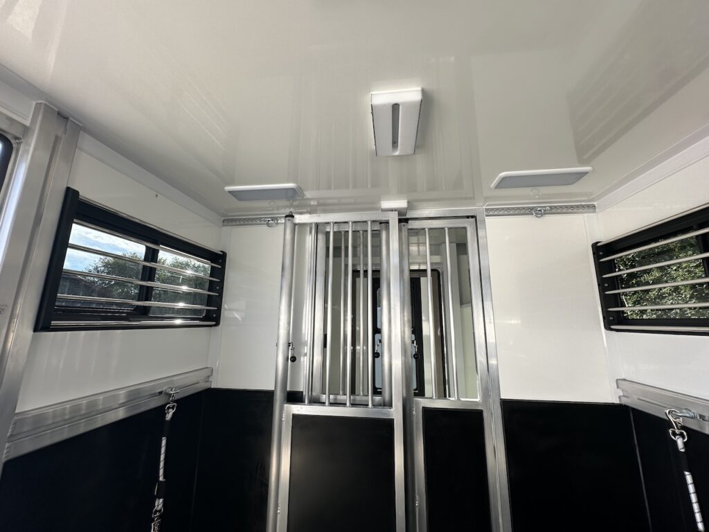 Mercedes-Benz Sprinter 419 CDI RJH Sport 2-horse transporter 3.5t - Show vehicle